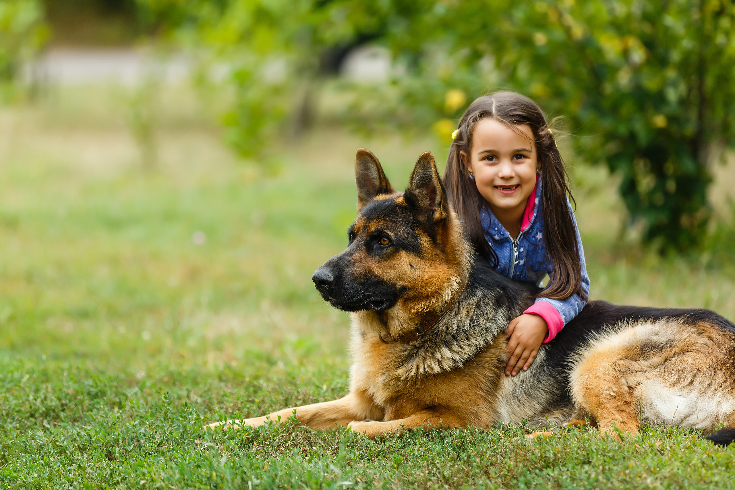 family protection dogs